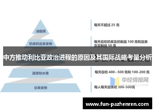 中方推动利比亚政治进程的原因及其国际战略考量分析 中方推动利比亚政治进程的原因及其国际战略考量分析