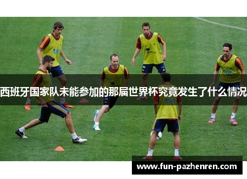 西班牙国家队未能参加的那届世界杯究竟发生了什么情况